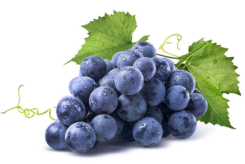 Maruti Logistics Limited