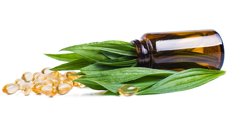 Maruti Logistics Limited